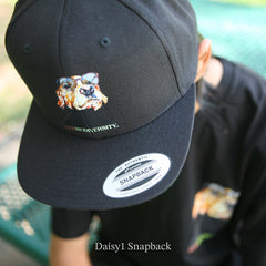 Daisy1 Snapback