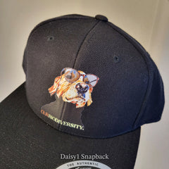 Daisy1 Snapback